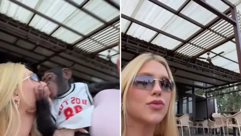 Vídeo de Virgínia Fonseca com macaco viraliza e gera onda de comentários racistas contra Vini Jr.